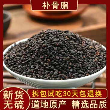 补骨脂，新货饱满统货产地云南，道地药材产地直供，正品