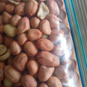 供应白沙色选精选米通货