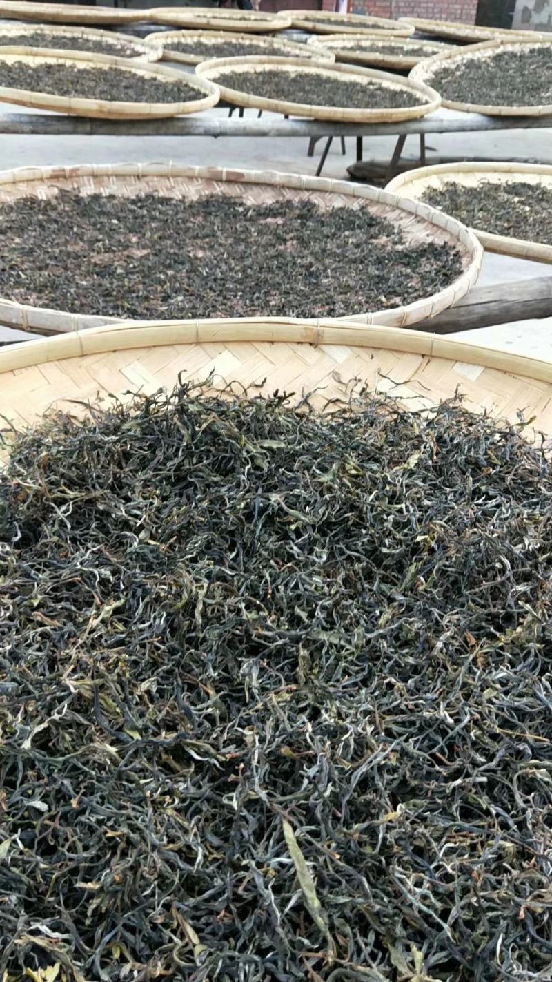 普洱茶生态茶散料易武铜箐河深林茶批发有量可定制手工压饼