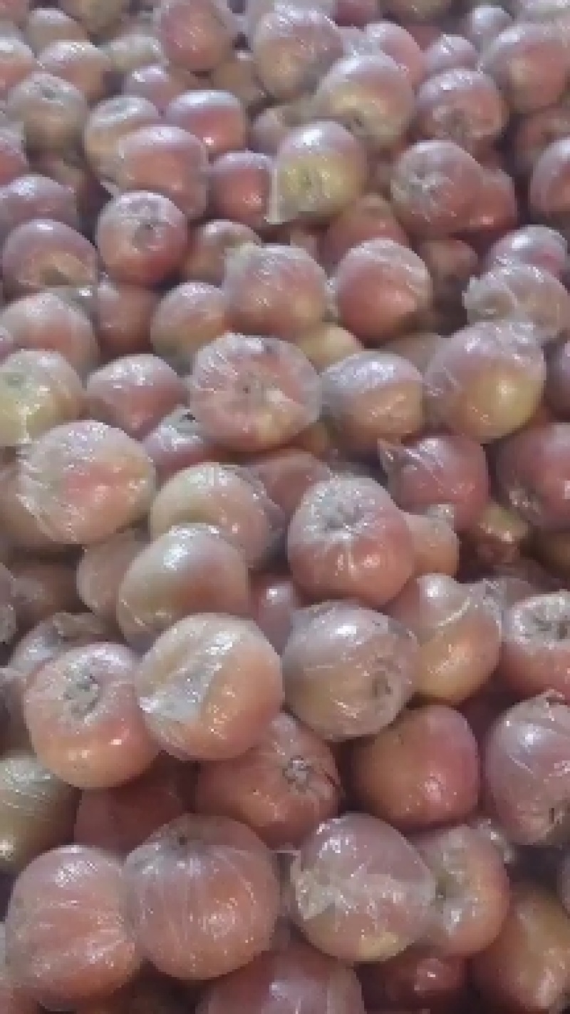 膜袋红富士苹果，冰糖心正在大量上市中，果大亮度好