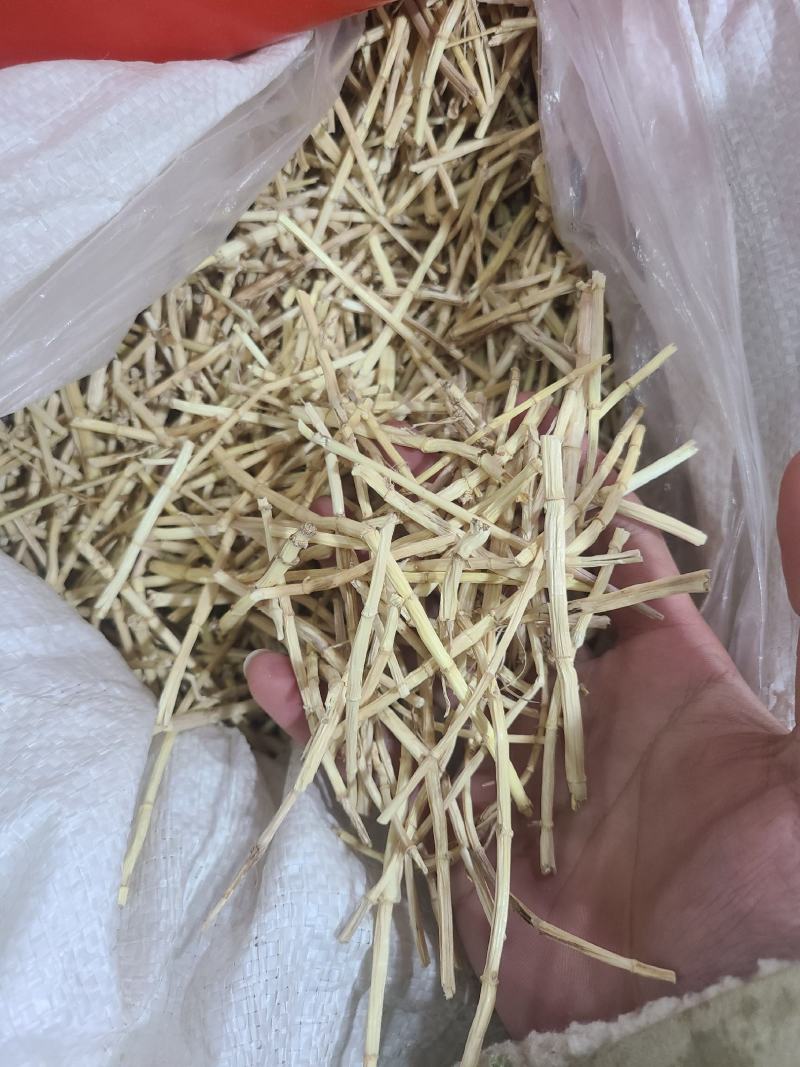 白茅根白茅根白茅根靓
