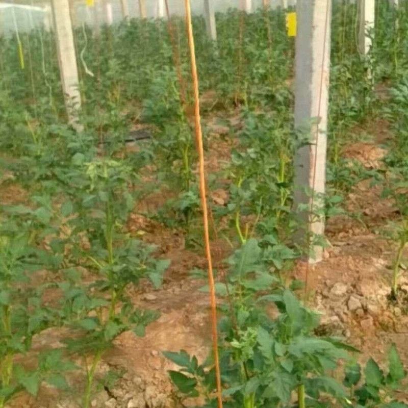 轮胎线吊瓜绳吊秧绳高温吊绳耐用轮胎线吊瓜绳吊线蔬菜大棚吊
