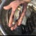 鲢鱼苗抗病力好，生长速度快一手货源前景好