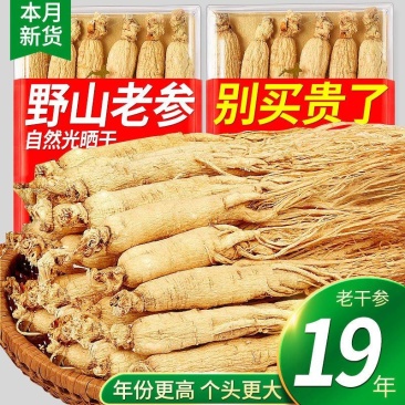 长白山野山人参19年野山参白参生晒参批发包邮