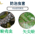 秒介噻虫胺噻嗪酮30%抗性蚧壳虫农药杀虫剂低毒杀虫杀卵