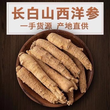 西洋参长支10-20g道地药材，质优价实，品质保证，药典