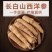 西洋参长支10-20g道地药材，质优价实，品质保证，药典