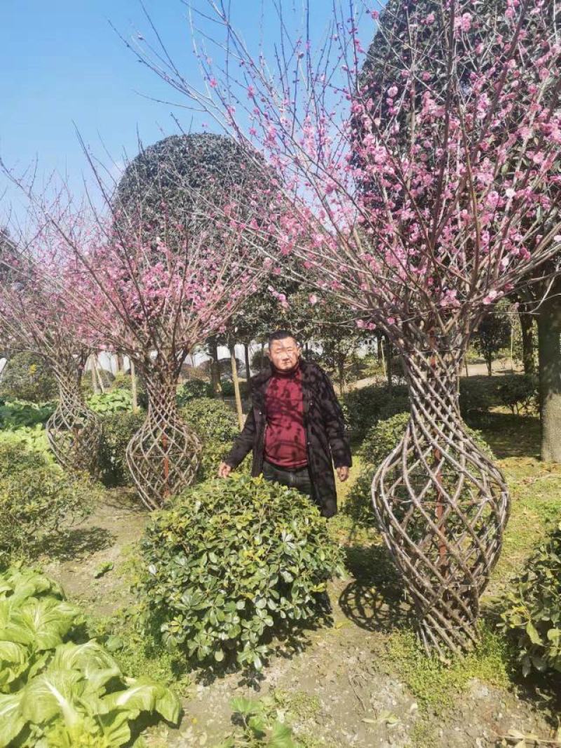 基地直销精品编艺红梅花瓶