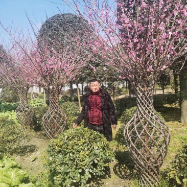 基地直销精品编艺红梅花瓶