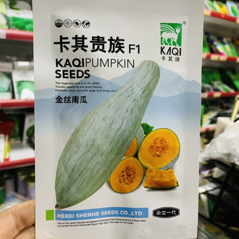 卡其贵族南瓜种子金丝南瓜种子粉质细腻甜面可口杂交南瓜