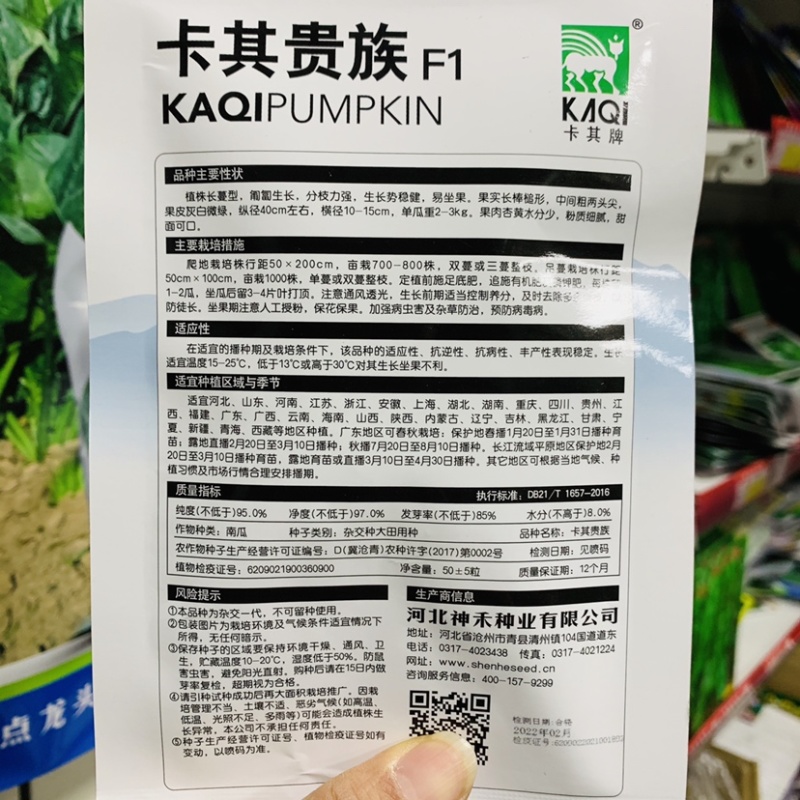 卡其贵族南瓜种子金丝南瓜种子粉质细腻甜面可口杂交南瓜