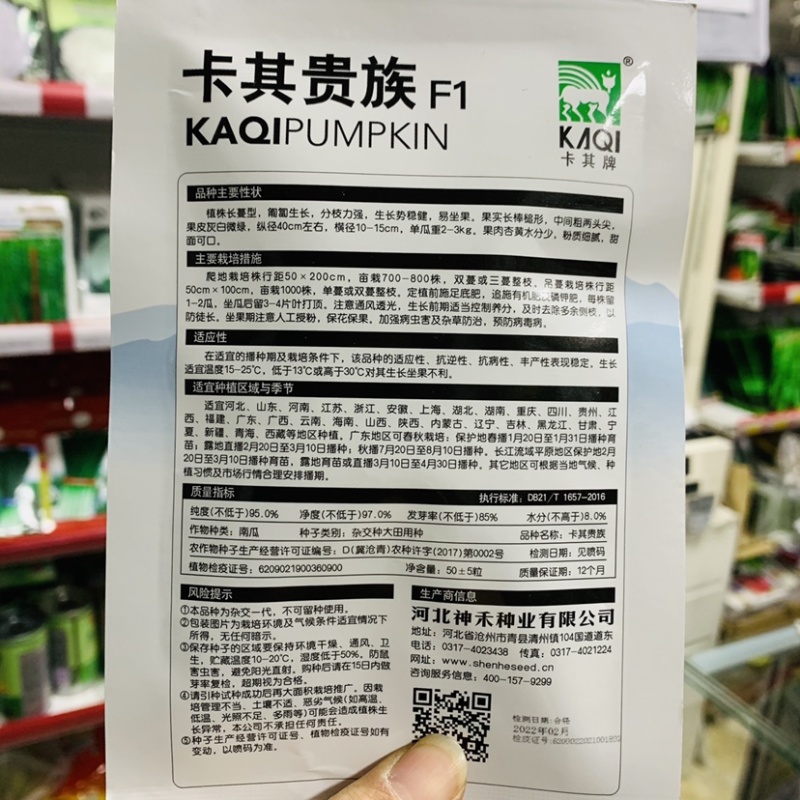 卡其贵族南瓜种子金丝南瓜种子粉质细腻甜面可口杂交南瓜