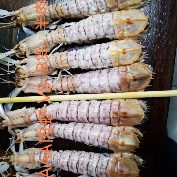 AAA全规格满肉活冻皮皮虾，价钱实惠，市场广阔，空壳包退
