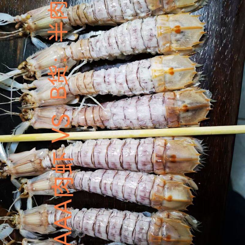 AAA全规格满肉活冻皮皮虾，价钱实惠，市场广阔，空壳包退