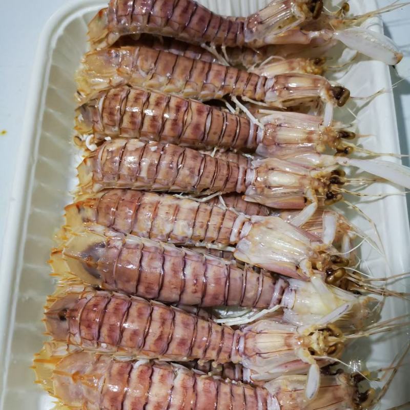 AAA全规格满肉活冻皮皮虾，价钱实惠，市场广阔，空壳包退