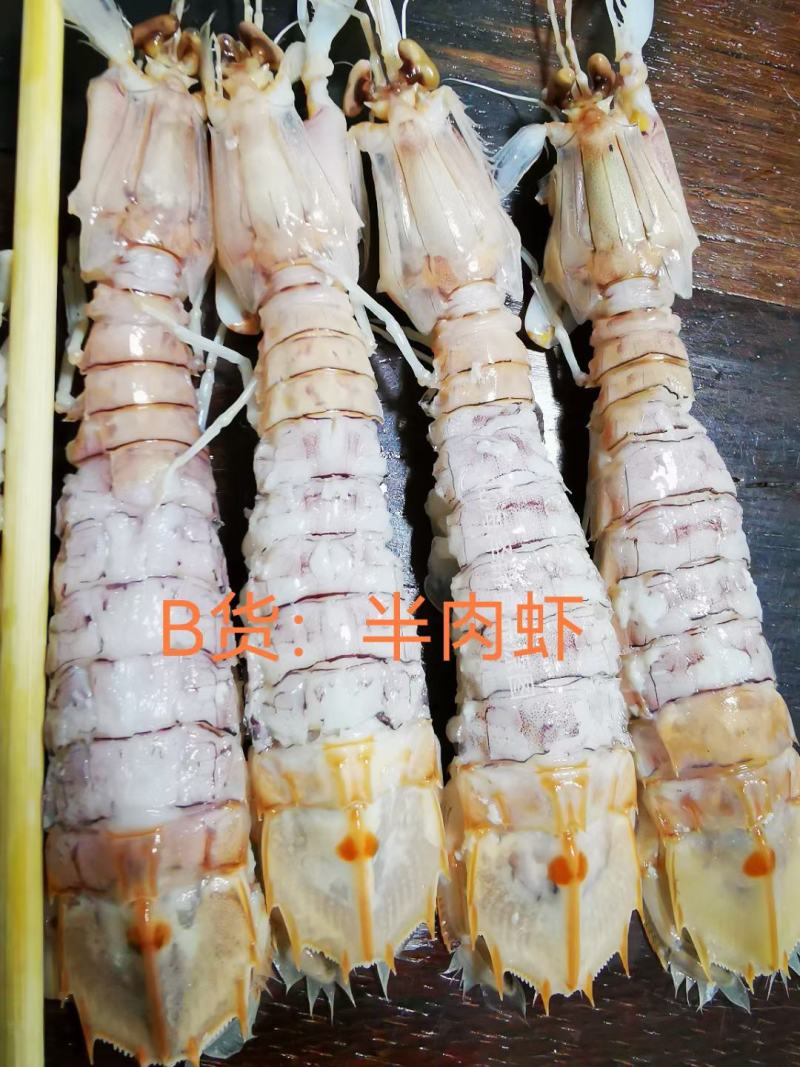 AAA全规格满肉活冻皮皮虾，价钱实惠，市场广阔，空壳包退