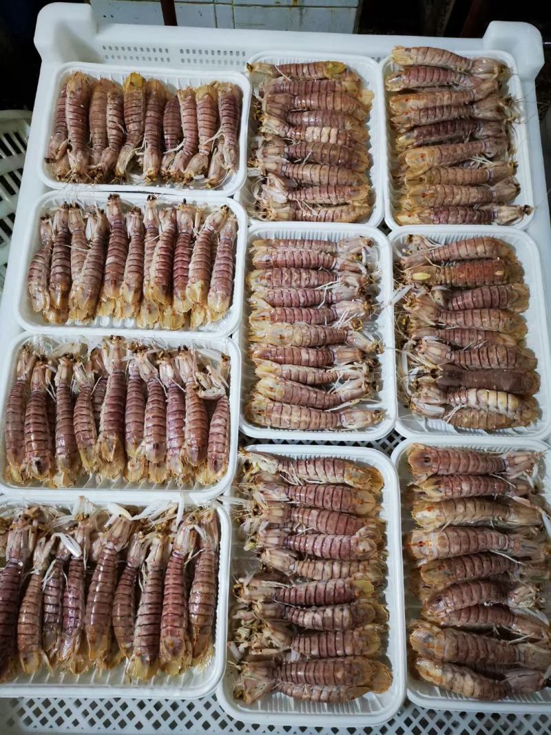AAA全规格满肉活冻皮皮虾，价钱实惠，市场广阔，空壳包退