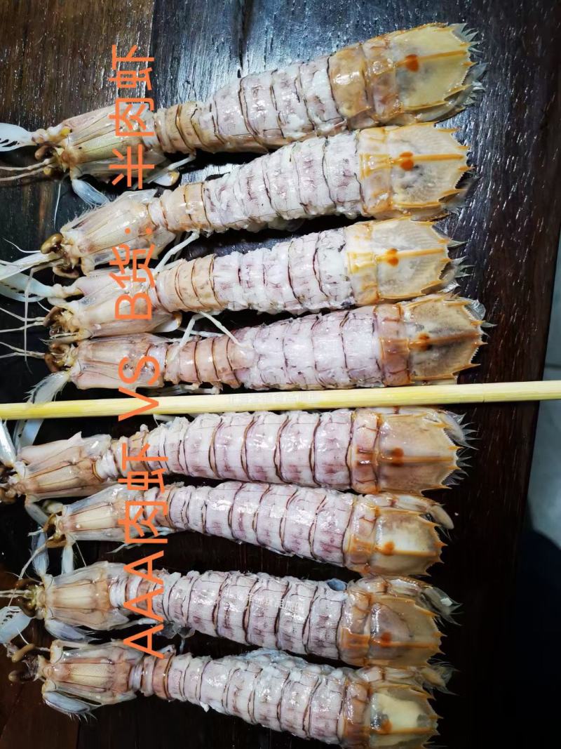 AAA全规格满肉活冻皮皮虾，价钱实惠，市场广阔，空壳包退