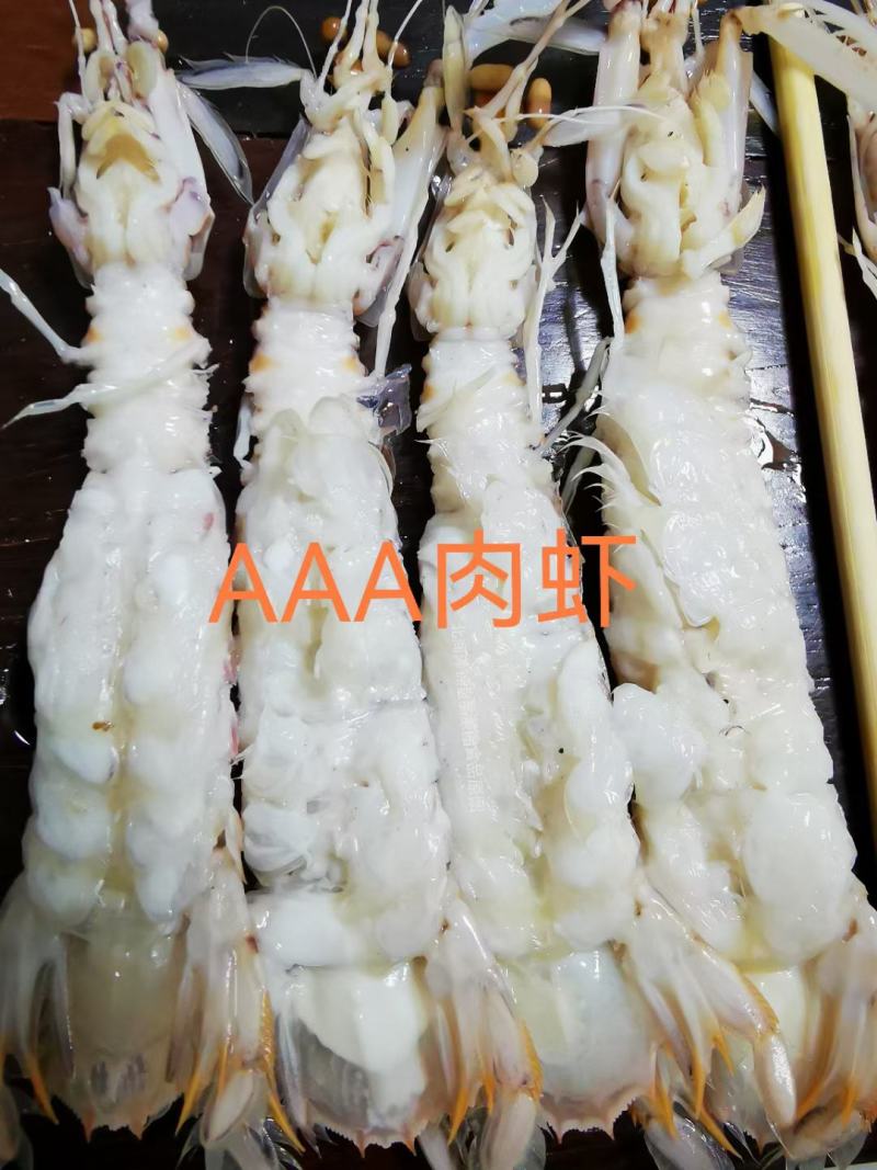 AAA全规格满肉活冻皮皮虾，价钱实惠，市场广阔，空壳包退