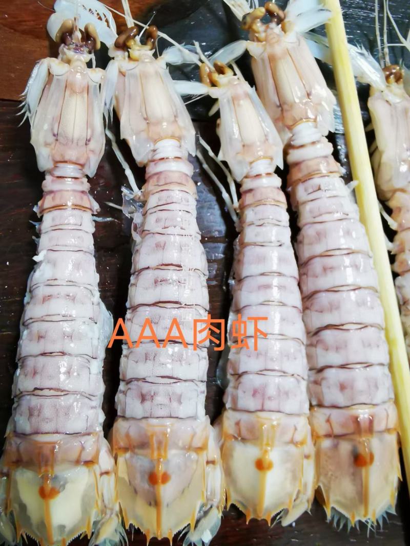 AAA全规格满肉活冻皮皮虾，价钱实惠，市场广阔，空壳包退