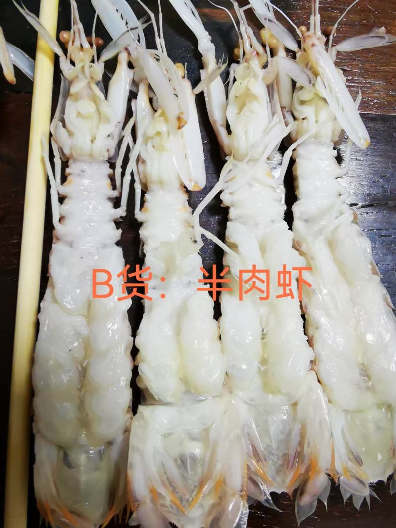AAA全规格满肉活冻皮皮虾，价钱实惠，市场广阔，空壳包退