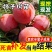 脆甜柿子树苗嫁接无核甜柿盆栽地栽阳台庭院南方北方种植当年