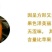 脆甜柿子树苗嫁接无核甜柿盆栽地栽阳台庭院南方北方种植当年