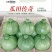 南瓜种子瓜田传奇短蔓早熟油亮品质优产量高