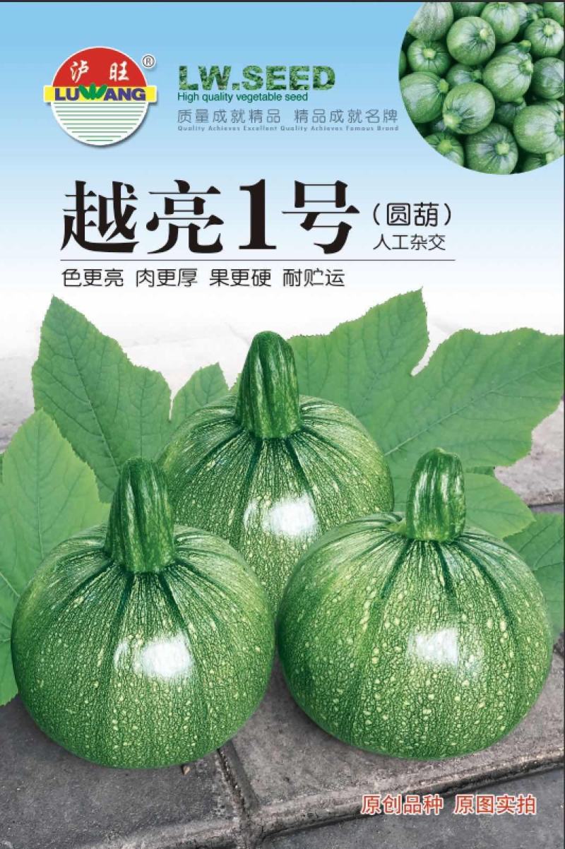 南瓜种子瓜田传奇短蔓早熟油亮品质优产量高