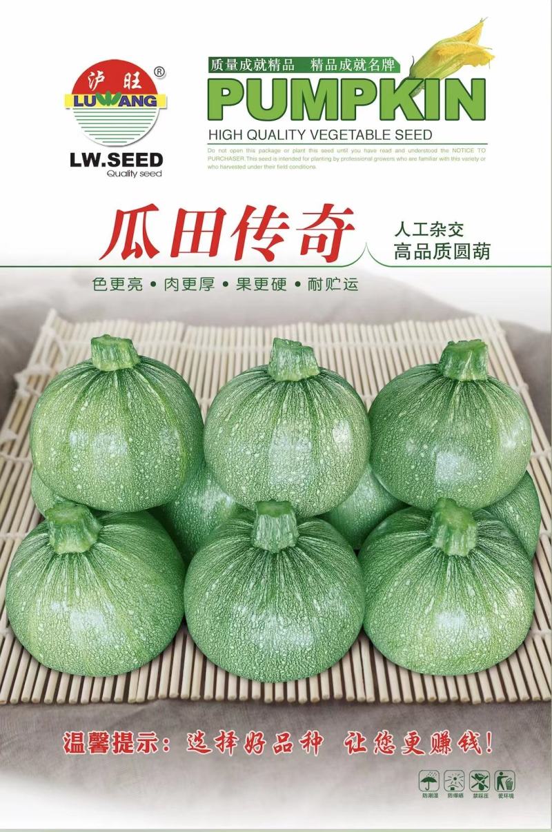 南瓜种子瓜田传奇短蔓早熟油亮品质优产量高