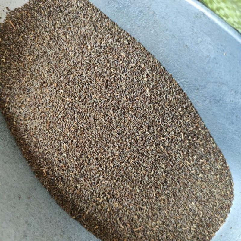 沙蒿籽沙蒿子沙蒿种子固沙牧草种籽草蒿荒地蒿荒漠蒿种子量大