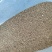 沙蒿籽沙蒿子沙蒿种子固沙牧草种籽草蒿荒地蒿荒漠蒿种子量大