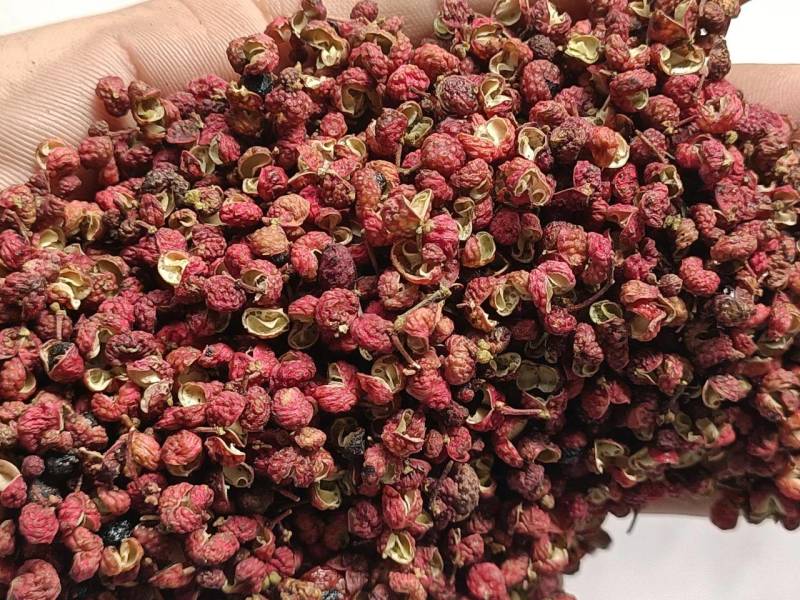 【当季新货】新货陕西韩城黄盖狮子大红袍花椒特麻特香