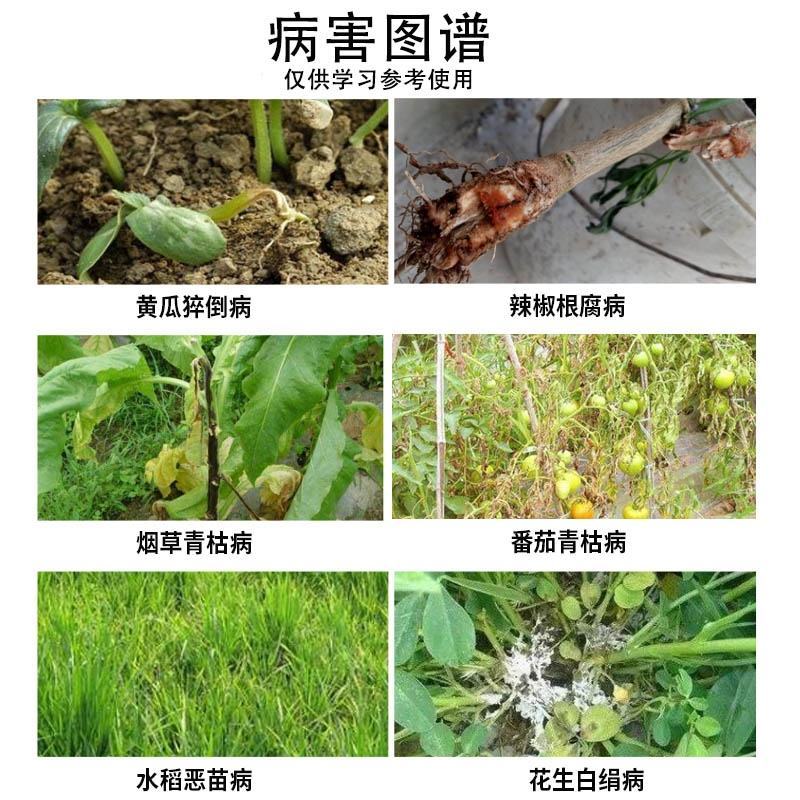 5公斤贵合辛菌胺醋酸盐花卉苹果树腐烂病柑橘立枯果绣病溃疡