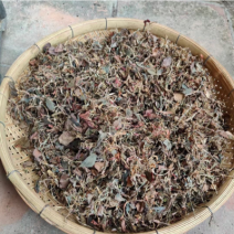 仿野生金线莲干品，小苗，不碎，跟纯野生很似，味道很香