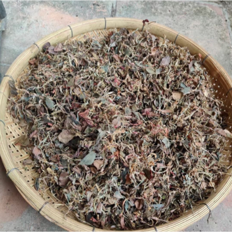 仿野生金线莲干品，小苗，不碎，跟纯野生很似，味道很香