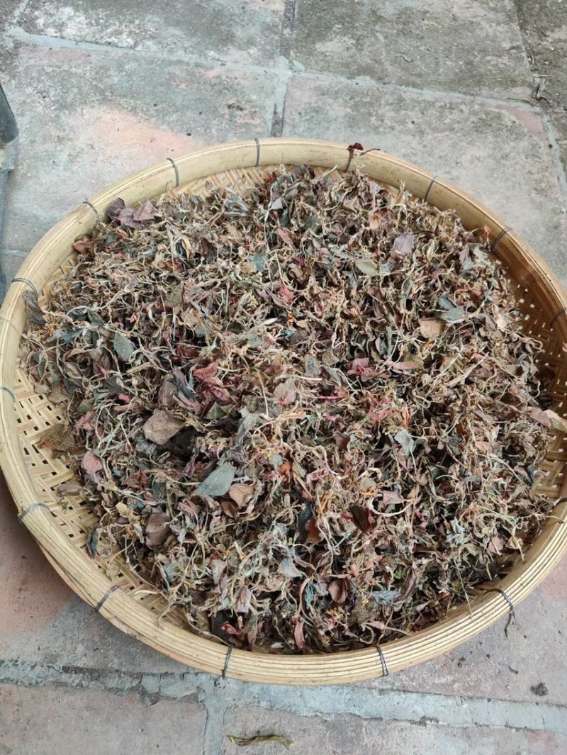 仿野生金线莲干品，小苗，不碎，跟纯野生很似，味道很香