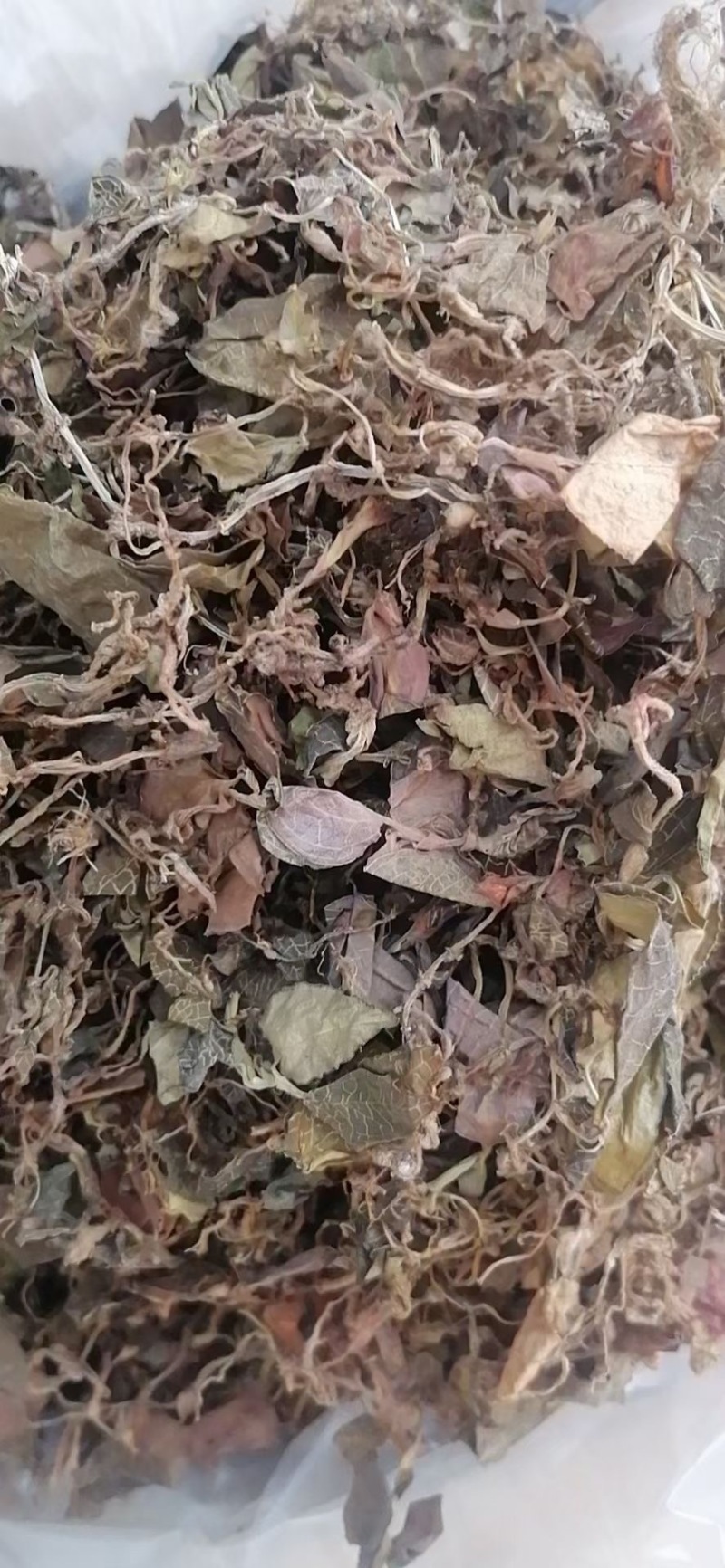 仿野生金线莲干品，小苗，不碎，跟纯野生很似，味道很香
