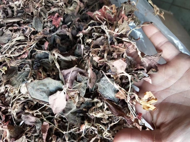 仿野生金线莲干品，小苗，不碎，跟纯野生很似，味道很香