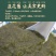 5斤韭菜花酱火锅蘸料烧烤酱料纯韭菜花商用批发火锅佐料配料