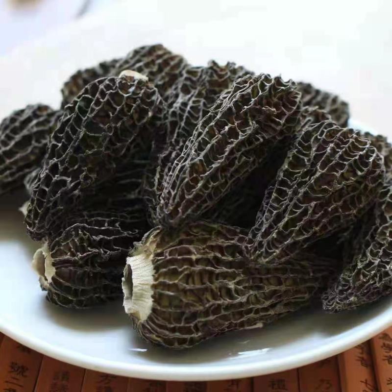 优质羊肚菌菌种六妹，七妹羊肚菌，母种原种栽培种一级，二级