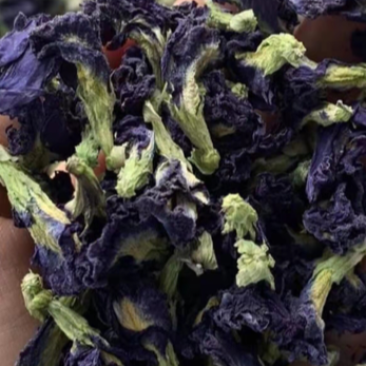 碟豆花
