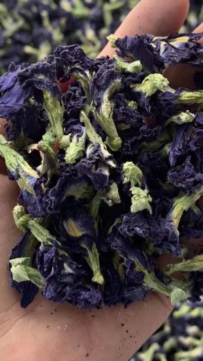 碟豆花