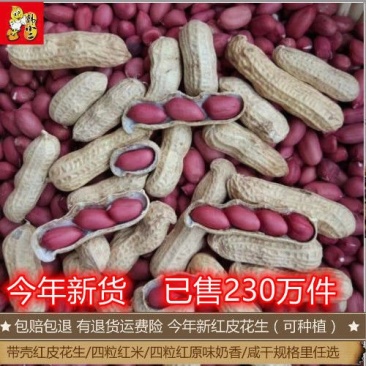 包邮新货【生和熟多规格可选】红皮花生米四粒红皮花生