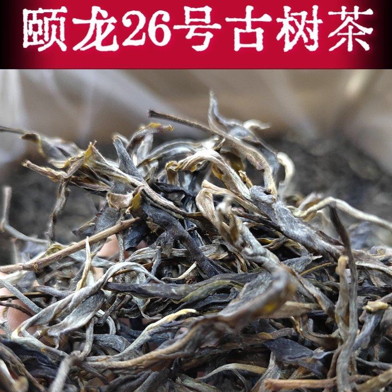 普洱茶26号基地春茶古树纯料生茶批发颐龙号418古树散茶