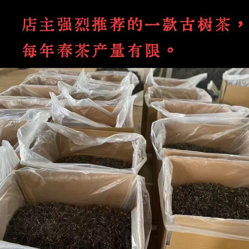 普洱茶26号基地春茶古树纯料生茶批发颐龙号418古树散茶