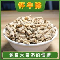 河南怀牛夕怀牛膝焦作中药材淮牛漆牛七牛膝