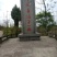 香椿芽四川红油香椿芽产地大量批发，代办，诚信合作来电订购