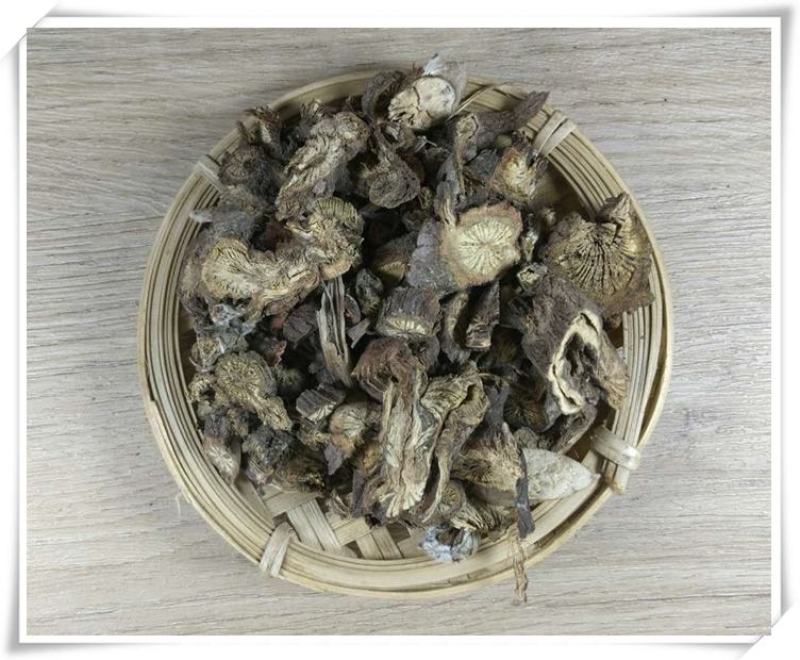中药材漏芦别名野兰鬼油麻狼头花中药材白漏芦