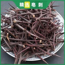 深山老树皂刺皂荚刺中药材皂角刺天丁新货皂荚刺可打粉纯